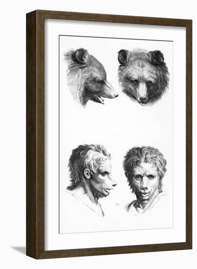 Similarities Between the Head of a Bear and a Man-Charles Le Brun-Framed Giclee Print