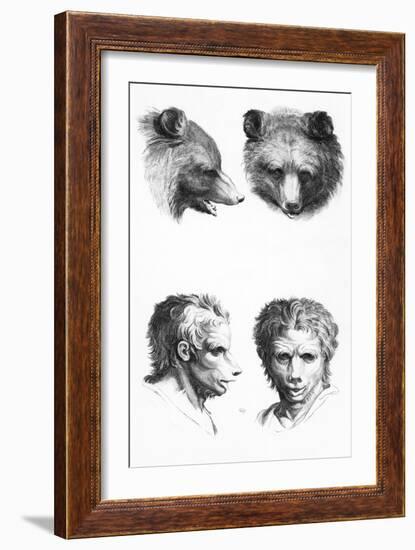 Similarities Between the Head of a Bear and a Man-Charles Le Brun-Framed Giclee Print