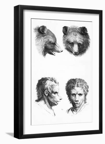 Similarities Between the Head of a Bear and a Man-Charles Le Brun-Framed Giclee Print