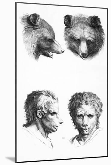 Similarities Between the Head of a Bear and a Man-Charles Le Brun-Mounted Giclee Print