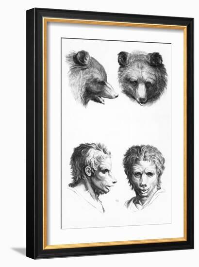 Similarities Between the Head of a Bear and a Man-Charles Le Brun-Framed Giclee Print