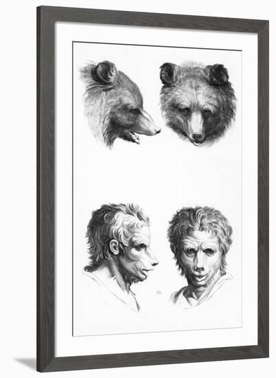 Similarities Between the Head of a Bear and a Man-Charles Le Brun-Framed Giclee Print