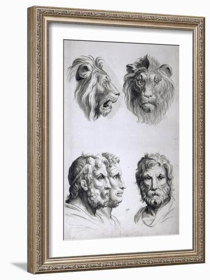 Similarities Between the Head of a Lion and a Man-Charles Le Brun-Framed Giclee Print