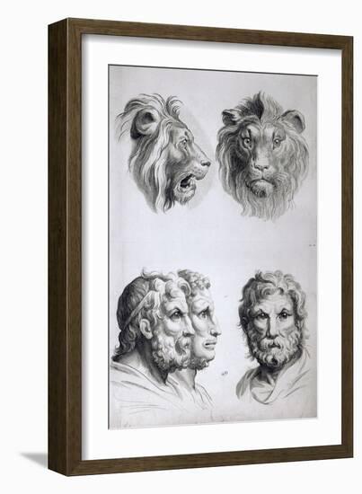 Similarities Between the Head of a Lion and a Man-Charles Le Brun-Framed Giclee Print