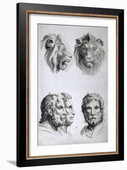 Similarities Between the Head of a Lion and a Man-Charles Le Brun-Framed Giclee Print