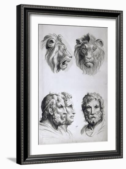 Similarities Between the Head of a Lion and a Man-Charles Le Brun-Framed Giclee Print