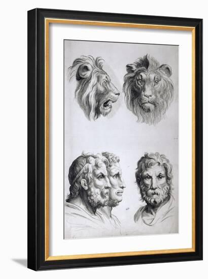 Similarities Between the Head of a Lion and a Man-Charles Le Brun-Framed Giclee Print