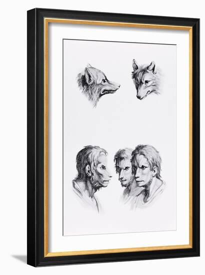 Similarities Between the Head of a Wolf and a Man-Charles Le Brun-Framed Giclee Print