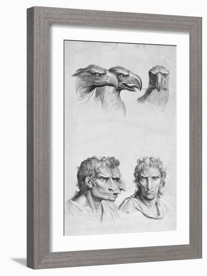 Similarities Between the Head of an Eagle and a Man-Charles Le Brun-Framed Giclee Print