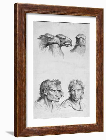 Similarities Between the Head of an Eagle and a Man-Charles Le Brun-Framed Giclee Print