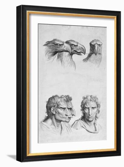 Similarities Between the Head of an Eagle and a Man-Charles Le Brun-Framed Giclee Print