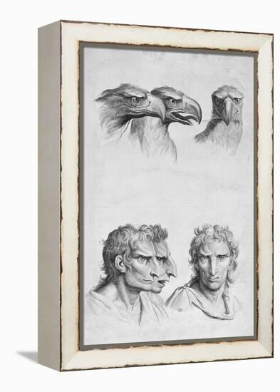 Similarities Between the Head of an Eagle and a Man-Charles Le Brun-Framed Premier Image Canvas