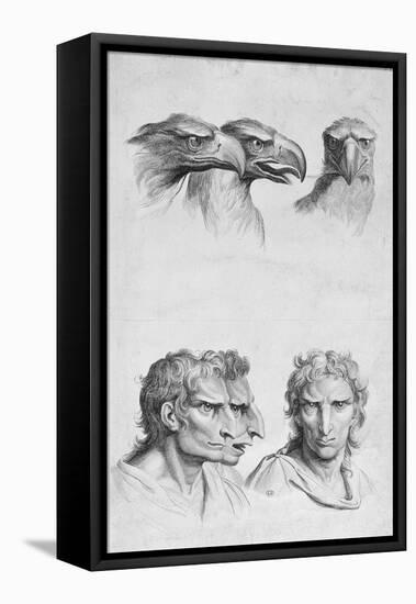 Similarities Between the Head of an Eagle and a Man-Charles Le Brun-Framed Premier Image Canvas