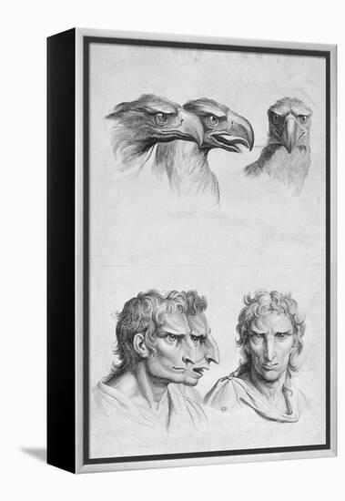 Similarities Between the Head of an Eagle and a Man-Charles Le Brun-Framed Premier Image Canvas