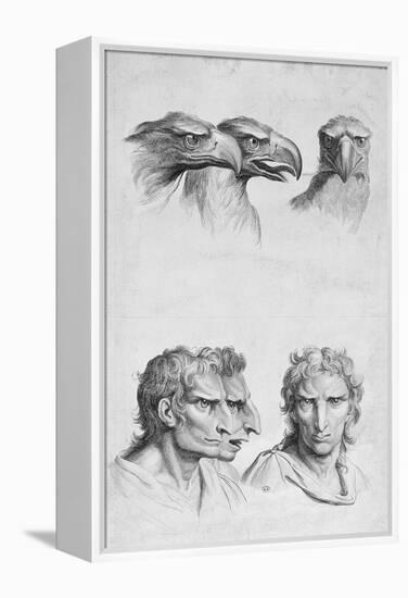 Similarities Between the Head of an Eagle and a Man-Charles Le Brun-Framed Premier Image Canvas