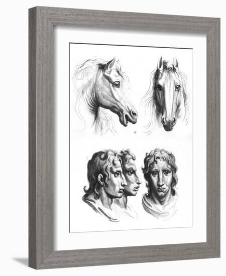 Similarities Between the Heads of a Horse and a Man-Charles Le Brun-Framed Giclee Print