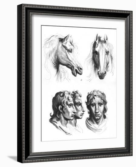 Similarities Between the Heads of a Horse and a Man-Charles Le Brun-Framed Giclee Print