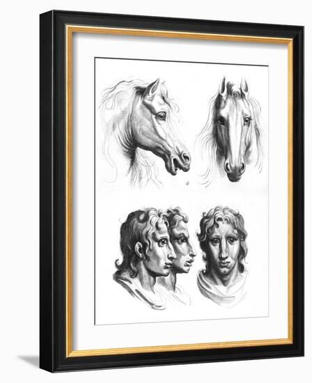 Similarities Between the Heads of a Horse and a Man-Charles Le Brun-Framed Giclee Print