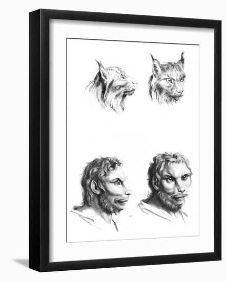 Similarities Between the Heads of a Lynx and a Man-Charles Le Brun-Framed Giclee Print