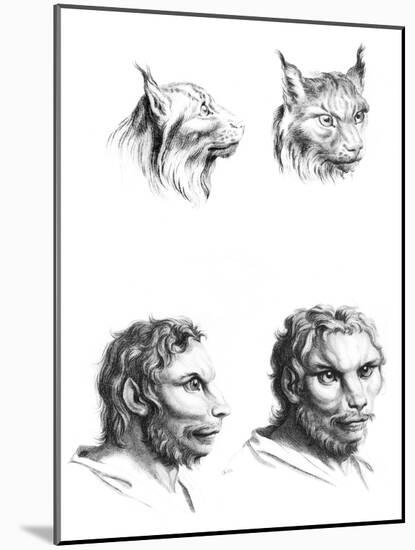 Similarities Between the Heads of a Lynx and a Man-Charles Le Brun-Mounted Giclee Print