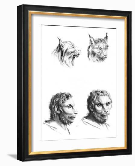 Similarities Between the Heads of a Lynx and a Man-Charles Le Brun-Framed Giclee Print