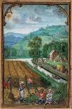 September Leaf from a Calender Book of Hours-Simon Benninck-Premier Image Canvas