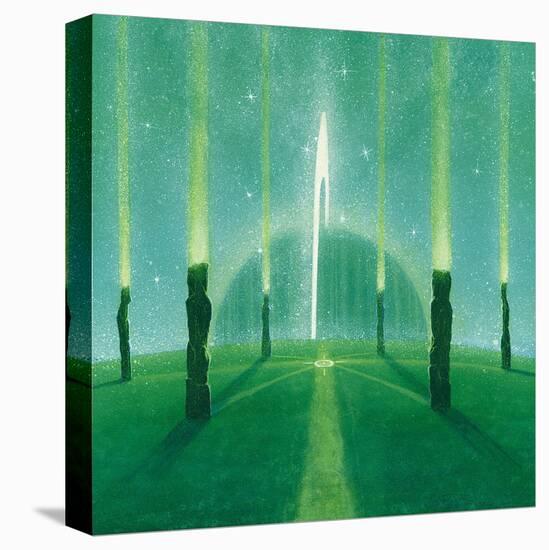 Stretched Canvas Print, , large