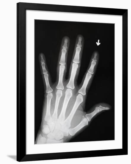 Photographic Print, , large