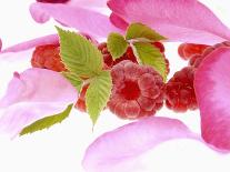 Raspberries with Leaves and Flower Petals-Simon Krzic-Photographic Print