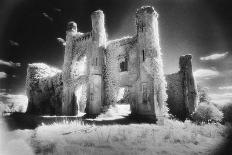 Moydrum Castle, County Westmeath, Ireland-Simon Marsden-Giclee Print