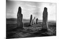 Premium Giclee Print