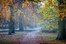 Autumn in Kew Gardens, UNESCO World Heritage Site, Kew, Greater London, England, UK-Simon Montgomery-Photographic Print