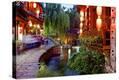 Stretched Canvas Print