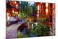 Photographic Print