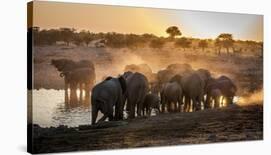 Elephant Huddle-Simon Van Ooijen-Photographic Print