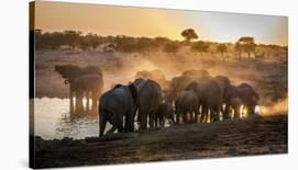 Elephant Huddle-Simon Van Ooijen-Photographic Print