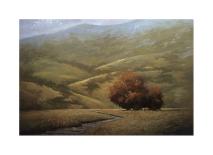 Copse of Sienna-Simon Winegar-Giclee Print