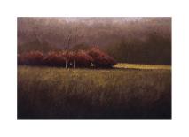 Dwindling Fall-Simon Winegar-Framed Giclee Print