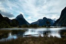 Milford Sound at Dusk-simonbradfield-Photographic Print