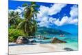 Photographic Print