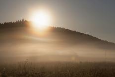 Austria, Carinthia, mountain wood, fog,-Simone Wunderlich-Framed Photographic Print