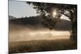 Photographic Print