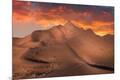 Premium Giclee Print