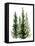 Simple Evergreens II-Emma Caroline-Framed Stretched Canvas