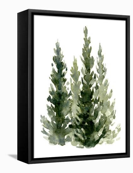 Simple Evergreens II-Emma Caroline-Framed Stretched Canvas