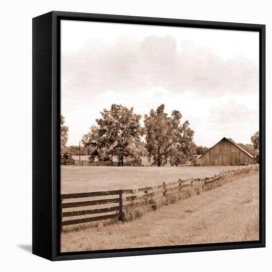 Simple Farm Life-Ynon Mabat-Framed Stretched Canvas