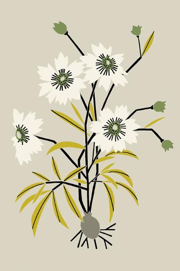 Unduh Gambar Flora Simple Unduh Gambar Flora Simple