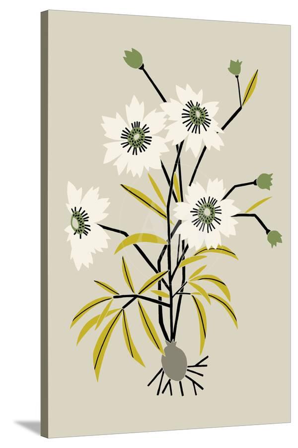 63 Gambar Flora Simple Terlihat Keren Gambar Pixabay 63 Gambar Flora Simple Terlihat Keren Gambar Pixabay