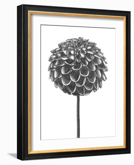 Simple Floral - Shoot-Lucy Francis-Framed Giclee Print