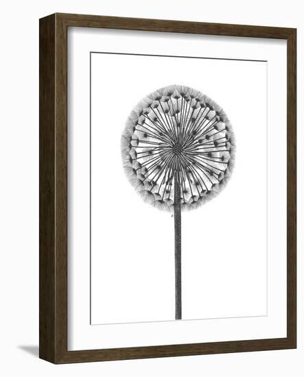 Simple Floral - Thrive-Lucy Francis-Framed Giclee Print